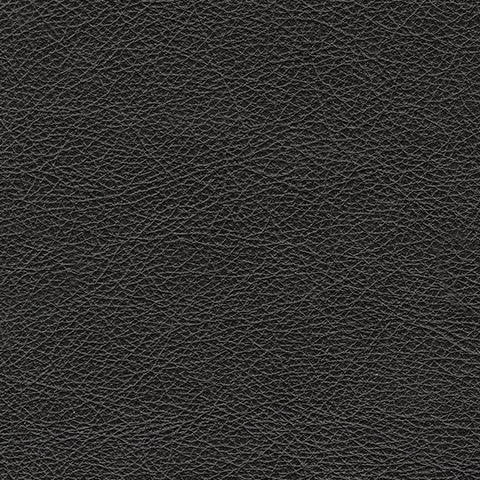Amiata Onyx Leather Sofa - Image 6