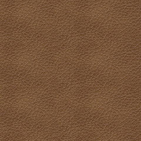 Bolsena Caramel Loveseat - Image 5