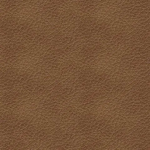 Bolsena Caramel Sofa - Image 6