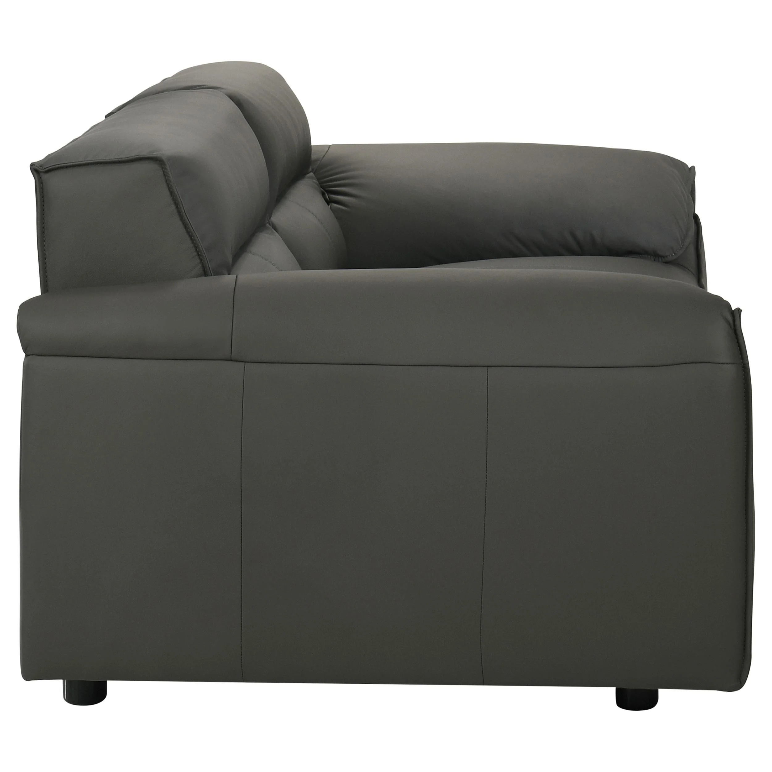 Buxton Graphite 2-Piece Leather Upholstered Living Room Set - Image 10