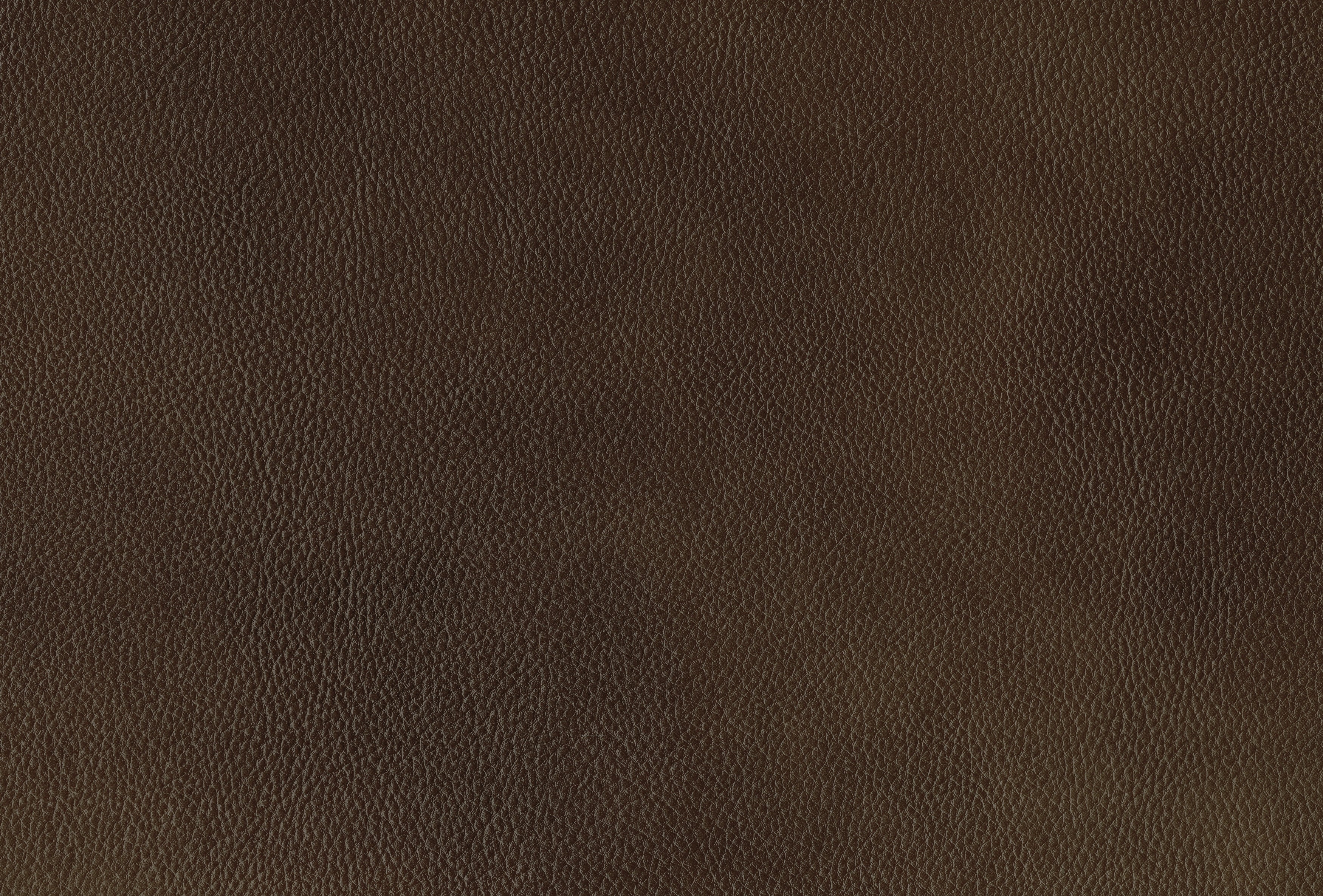 Ellicott Brown Leather Double Reclining Sofa - Image 6