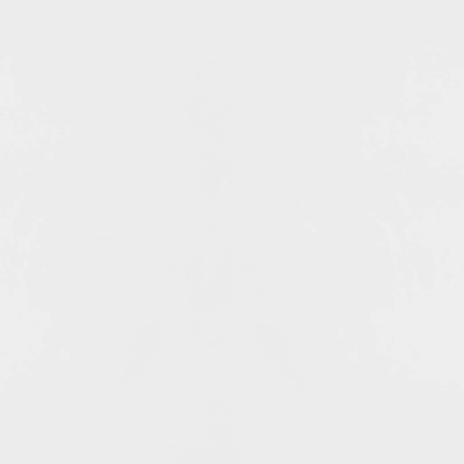 Elsa White/Gold 2-Door Accent Cabinet with Adjustable Shelves - Image 10