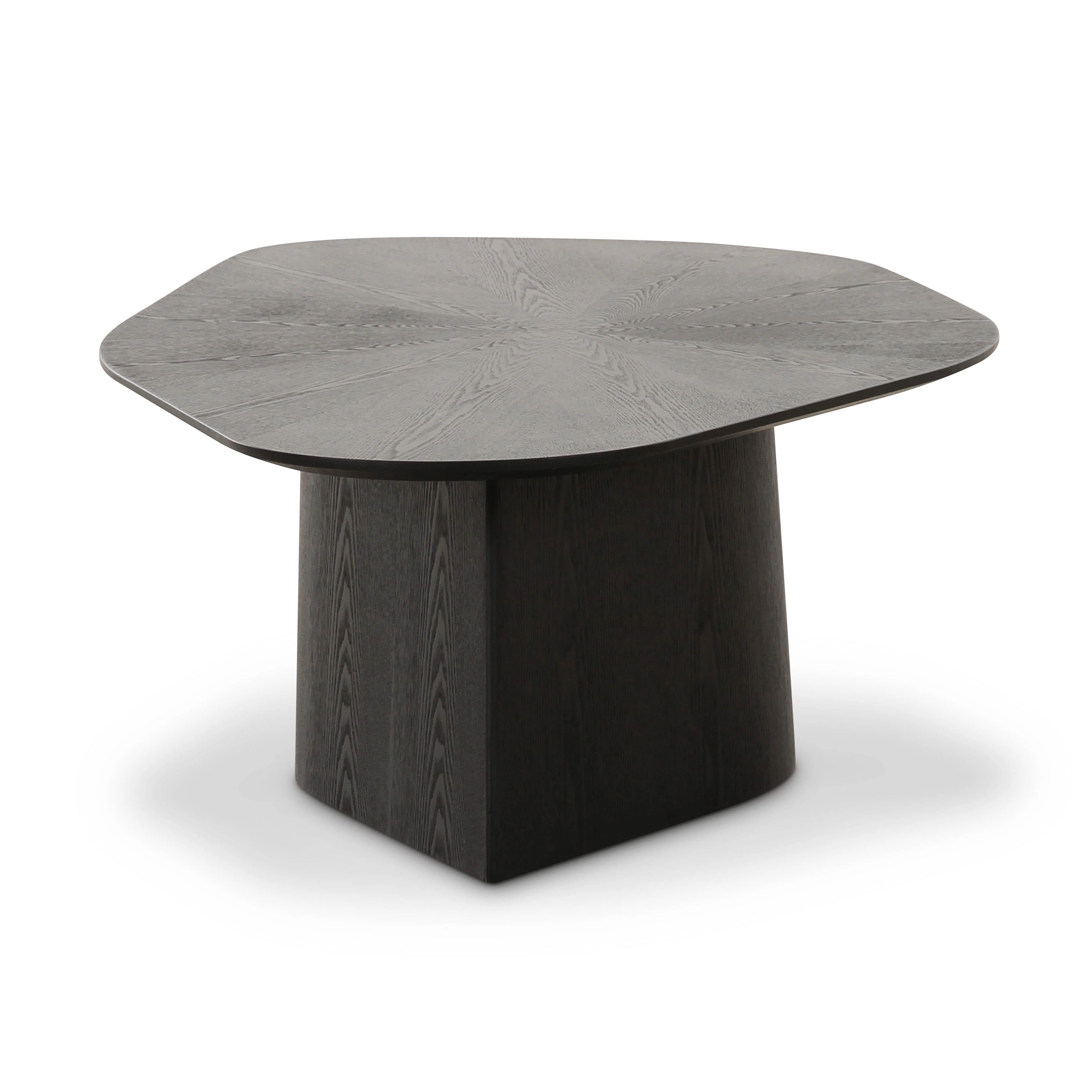 Roche Ash Geometric Coffee Table - Image 4